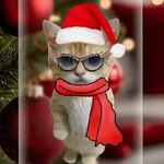 🎄🎅🏻 Navidad cat 🐈🎄