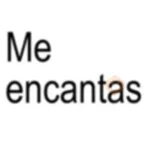 Texto Brat 