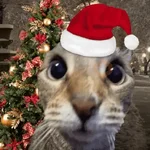 🎄🐱 Navidad Gatos 🐱 🎄