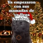 🧿Navidad Memes🎄✨🎁