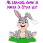 Conejitos 🐰 