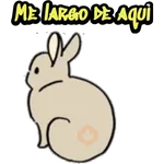 Conejitos 🐰 