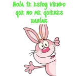 Conejitos 🐰 