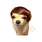 Lomitos (Perritos) de Internet