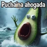 Puchaina 🥑 Aguacate
