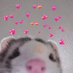 Oi meu amorzinho...❤️