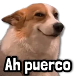 🌞 COMBO de Stickers #➐.5