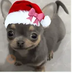 Navidad uwu