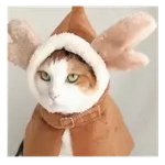 Gatito navidad 🎄😺