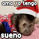 Navidad y monitos 🐵🎄❄️