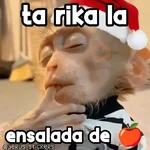 Navidad y monitos 🐵🎄❄️