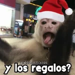 Navidad y monitos 🐵🎄❄️