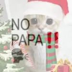  Navidad No papá no no 😎