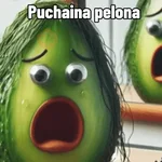 🥑 PUCHAINAS 🥑