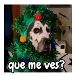 Navidad de perritos 🎅🐕