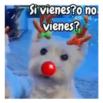 Navidad de perritos 🎅🐕