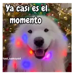 Navidad de perritos 🎅🐕
