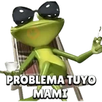 Problema 😵‍💫 Tuyo Papi 🐸