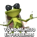 Problema 😵‍💫 Tuyo Papi 🐸