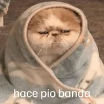 Frío Pegatinas ❄️❄️