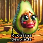 🫦 Puchaina 🥑