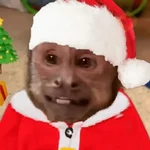 🐒🎄 Changos Monos Navidad 🎄🐒