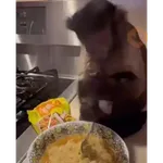 monitos bonitos 