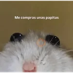 Po toma