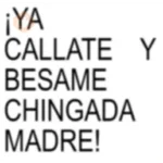 Texto brat 😎
