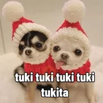 🐶🎄🐶 Perro modo Navidad 🐶🎄🐶