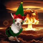 🐶🎄🐶 Perro modo Navidad 🐶🎄🐶