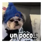 frío de perros 🥶🐕