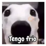 frío de perros 🥶🐕
