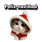Navidad 🎄