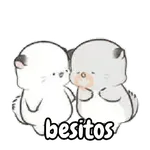 Amor de osito panda 🐼😍