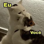FLERTES COM SEU AMOR 