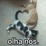 FLERTES COM SEU AMOR 