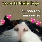 FLERTES COM SEU AMOR 