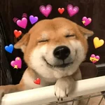 FLERTES COM SEU AMOR 