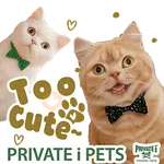 PRIVATE i PETS Xmas & New Year 2026