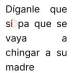 Frases de la chaviza /Brat 