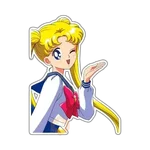 TwinkleB Sailormoon