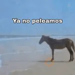 Para pelear 