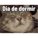 Gatos