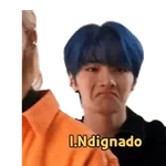 Minhas figurinhas