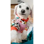 Snoopy 
