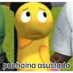 puchaina