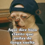 🧿PerritosChidos 3🐶