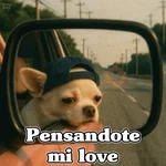 🧿PerritosChidos 3🐶