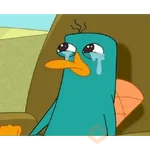pq?